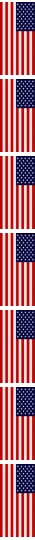 USA Flag Border
